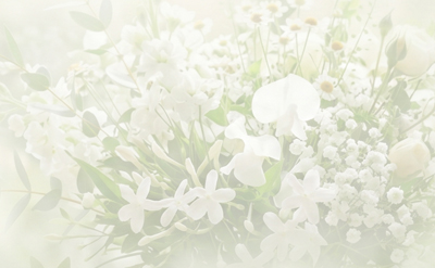 L-Linalool Fleuressence